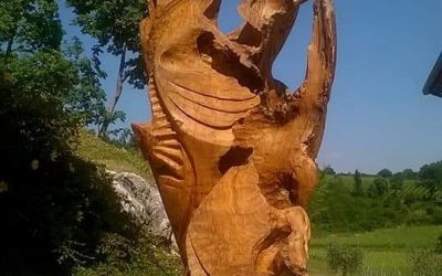 …Lascia lente le briglie del tuo ippogrifo o astolfo…